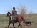 Cantering Through A Field