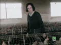 Lluis Llach - La gallineta