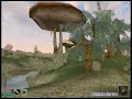 Morrowind with MGE IVD with distand statics