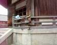 The Shrine to Yume Kanno and Shotoku-taishi