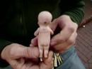 GERMAN ALL BISQUE KEWPIE TYPE DOLL