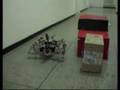 Autonomous walking robot (AMOS-WD06) under neural control