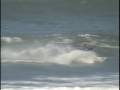 Ibiraquera Kitewave Escola Kite & Surf Summer Truzz