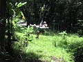 supergirl in costa rica