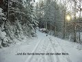 Winterreise, Der Leiermann