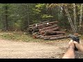 Desert Eagle In Action Desert Eagle In Action