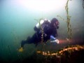 scubadiving with urs thommen part 2.