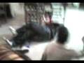 videos de juan,matii and Briian(nene de mama) xD