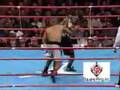 Roy Jones Jr.vs Hall -Canibus-Phuk U-King Sun-Mr untouchable