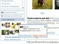 Wetpaint Help: Sending a Compliment Wetpaint Help: Sending a Compliment