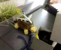 Sixth floor misadventures
