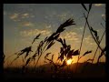 Ohno Yuji - Chiisana Tabi Main Theme