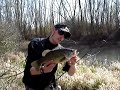 Session black bass Session black bass