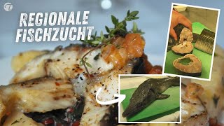 Saftig gebratenes Störsteak mit selbst gemachtem Tomatenconcassé Saftig gebratenes Störsteak mit selbst gemachtem Tomatenconcassé