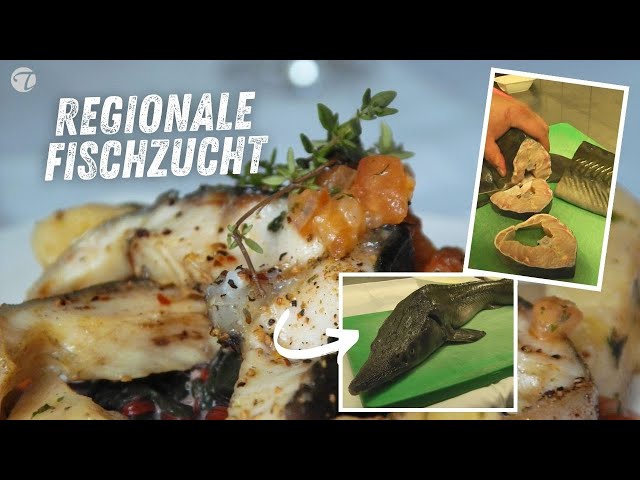 Saftig gebratenes Störsteak mit selbst gemachtem Tomatenconcassé Saftig gebratenes Störsteak mit selbst gemachtem Tomatenconcassé