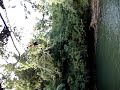Kipu Falls Danny