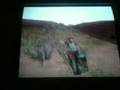 videos de GTA STUNT#2