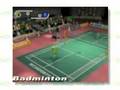 SPORTS ISLAND NINTENDO WII GAMESBITE