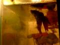 videos de Betta XY Eats