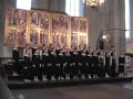 Raduga in the Niguliste church, Tallinn#2