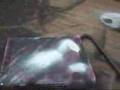 ME BREAKING MY XBOX360 PART2 (MUST WATCH)