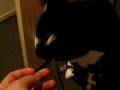 Bruno und Lucy Stick