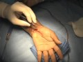 movie_fat_flap_cts.mov