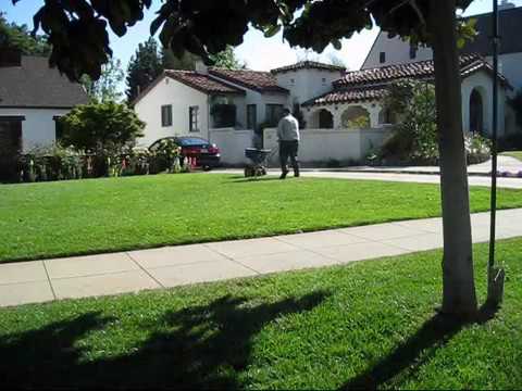 how to fertilize st augustine grass in california