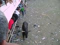 corralejas de buenavista-sucre