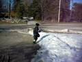 Running from Car