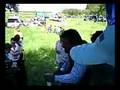 videos de dicen