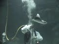 EXTREME Sword Swallower vs. Sharks UNDERWATER in Shark Tank!