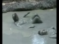 Stephen's Sexy Mud Bath