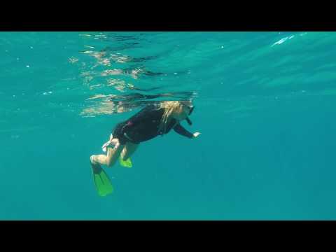 Humpback Whale Interaction in Exmouth, Ningaloo Reef