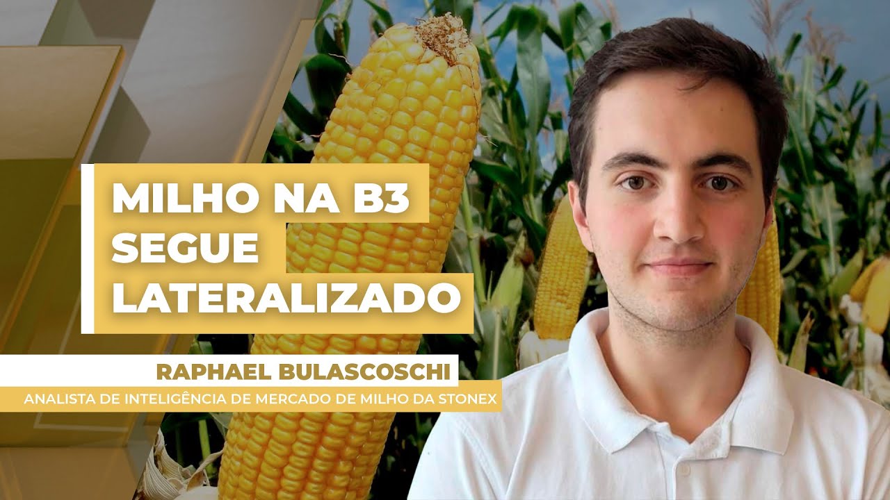 Preço do milho na B3 segue lateralizado diante da comercialização lenta no Brasil