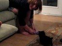 Zola Belle and her Mimi Playing Tug-of-War
