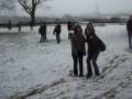 videos de amis fou