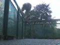 [3Run] [SuperTricks.tk] Cole Armitage