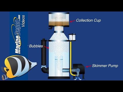 how to fasten reaction time