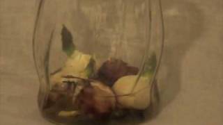 Timelaps Tulips - Life and Death