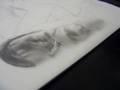 175 ALEXANDRE DALLIER - DESENHO, em andamento