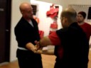 Elbow & Joint Locks