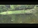 New Panfish Adventure