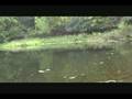 New Panfish Adventure