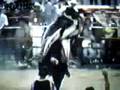 videos de jinete la gringa vs el huracán