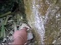 los exploradores de tomas garrido