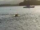 Lady goes swimming