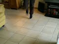 test jump