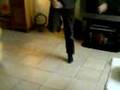 test jump