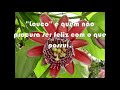 Deficiências - Mário Quintana